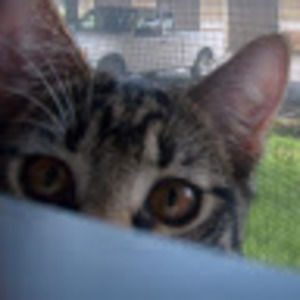 Meet your Posher, Rebekah